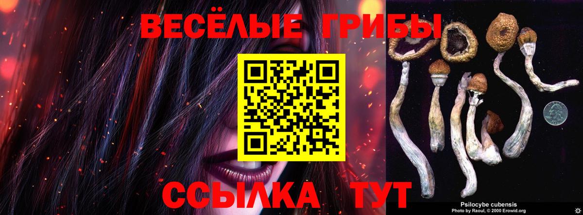 Галлюциногенные грибы Magic Shrooms  Вход с VPN  Ишим 