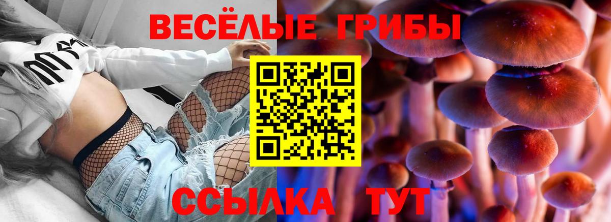 Псилоцибиновые грибы Psilocybe Ишим